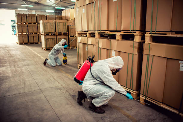 Best Affordable Pest Control Services  in Wyandotte, MI