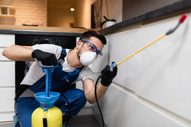 Best Termite Control Services  in Wyandotte, MI