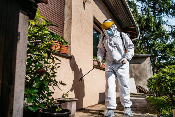 Best Best Pest Control Near Me  in Wyandotte, MI