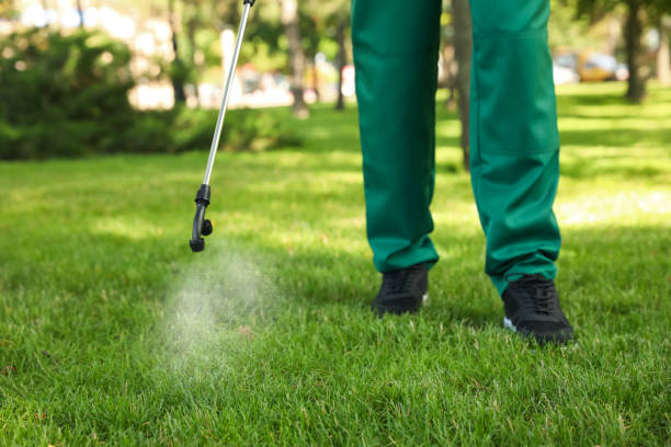 Flea Control Services in Wyandotte, MI