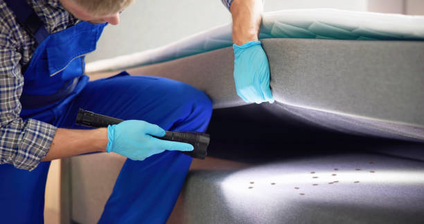 Best Commercial Pest Control Services  in Wyandotte, MI