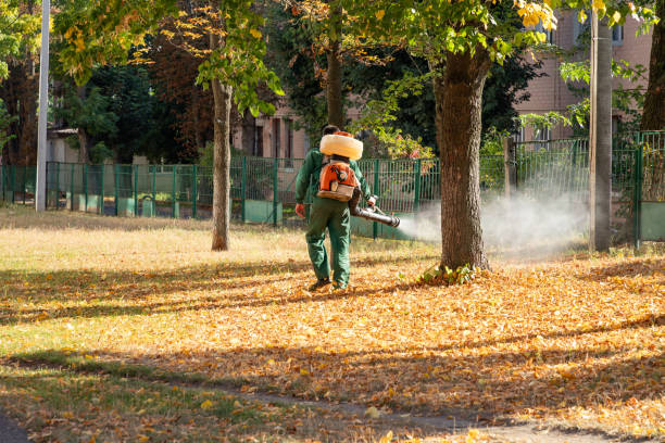 Best Cockroach Control Services  in Wyandotte, MI