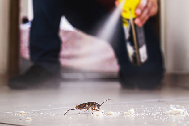 Best Emergency Pest Control  in Wyandotte, MI