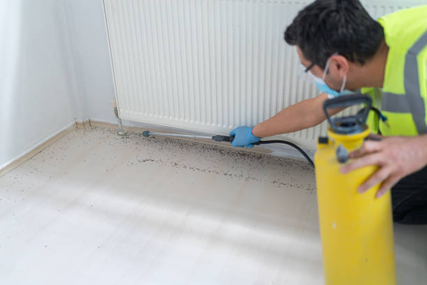 Best Pest Prevention Services  in Wyandotte, MI