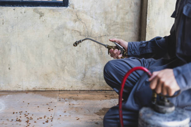 Best Local Pest Control Services  in Wyandotte, MI